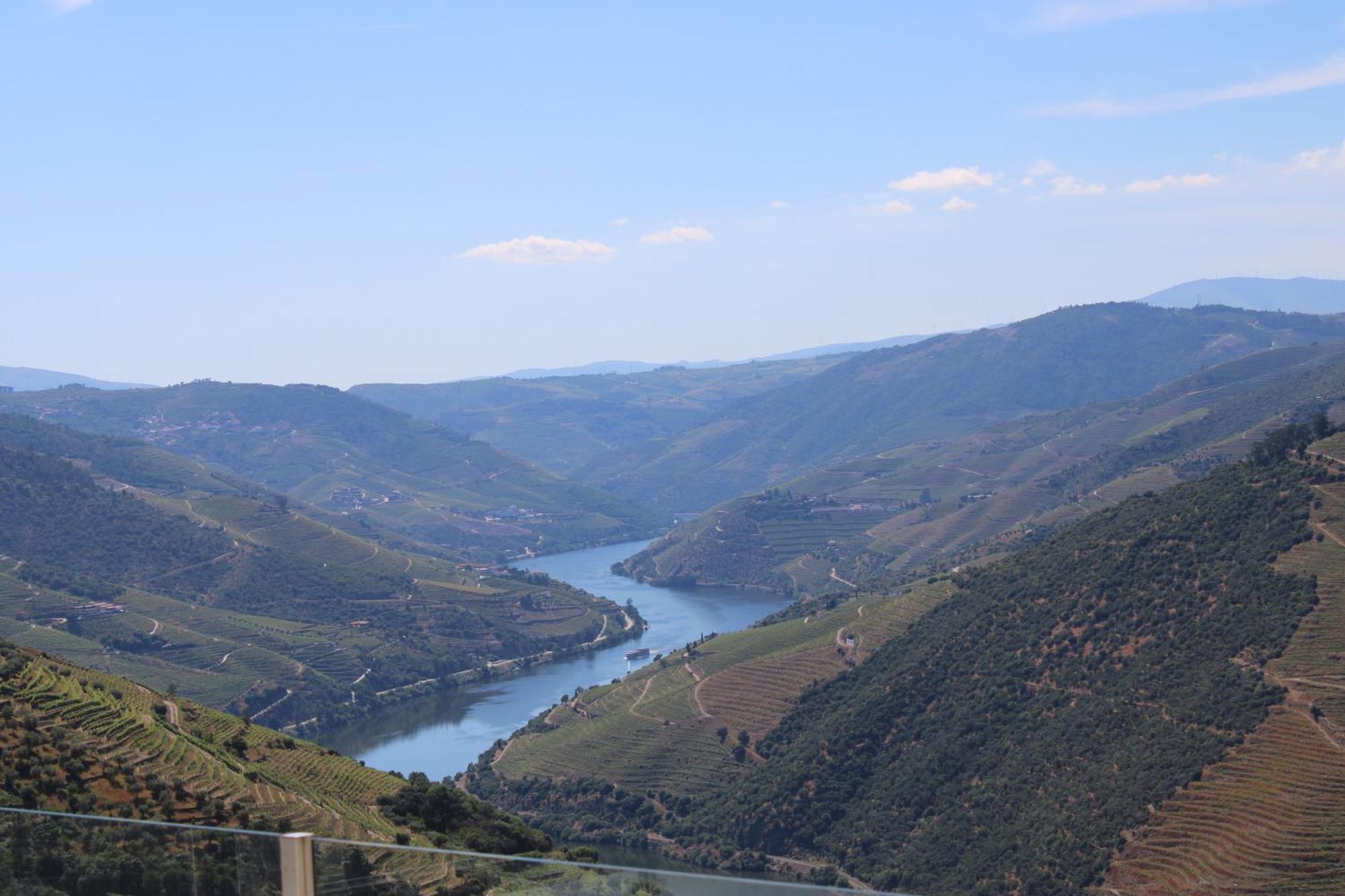 Вілла Socalcos Do Douro House Valenca do Douro Екстер'єр фото